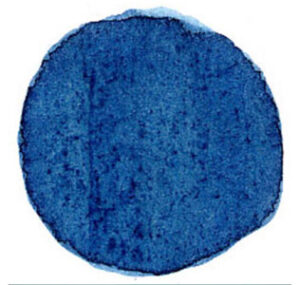 Blue Indigo -