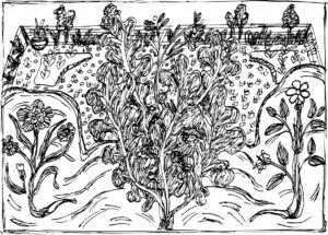 Garden w/ Ferns / Pen & Ink